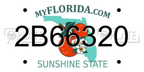2B66320 Florida License Plate