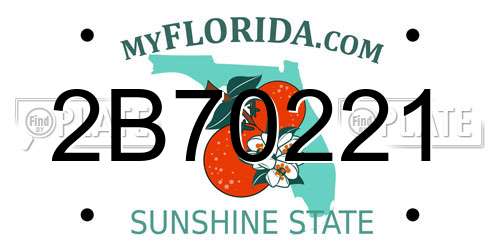 2B70221 Florida License Plate