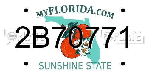 2B70771 Florida License Plate
