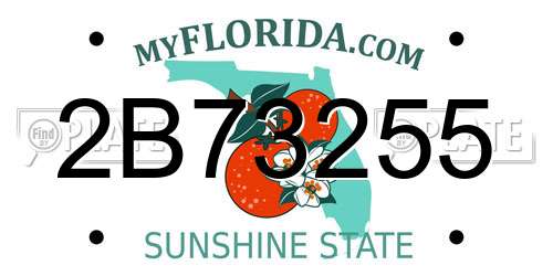 2B73255 Florida License Plate
