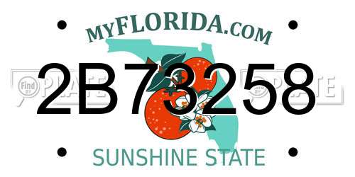 2B73258 Florida License Plate