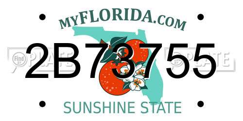 2B73755 Florida License Plate