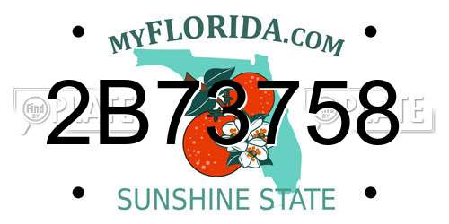 2B73758 Florida License Plate