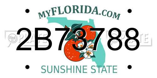2B73788 Florida License Plate