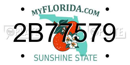2B77579 Florida License Plate