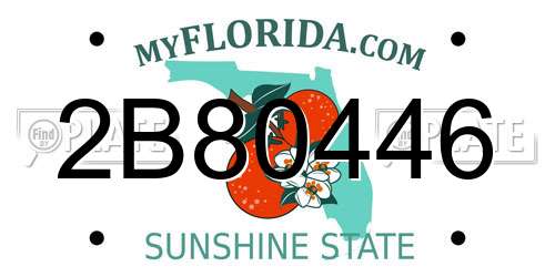 2B80446 Florida License Plate