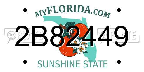 2B82449 Florida License Plate