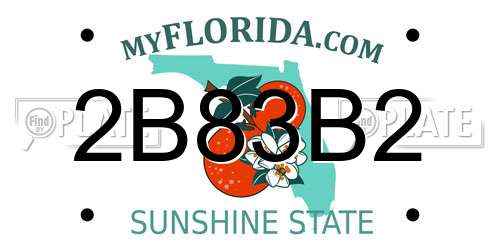 2B83B2 Florida License Plate