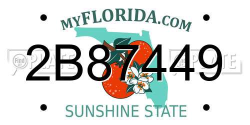 2B87449 Florida License Plate