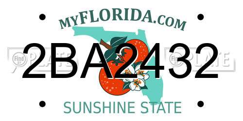 2BA2432 Florida License Plate