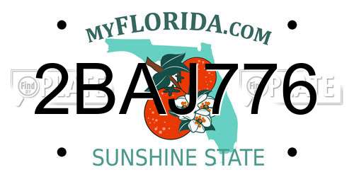 2BAJ776 Florida License Plate