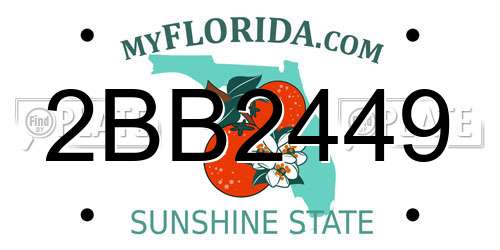 2BB2449 Florida License Plate