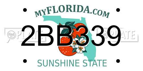 2BB339 Florida License Plate