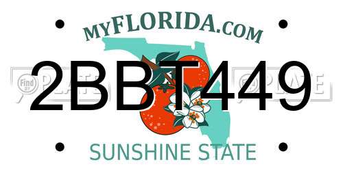 2BBT449 Florida License Plate