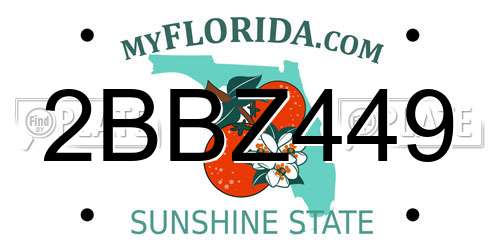 2BBZ449 Florida License Plate