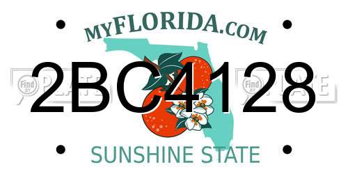 2BC4128 Florida License Plate