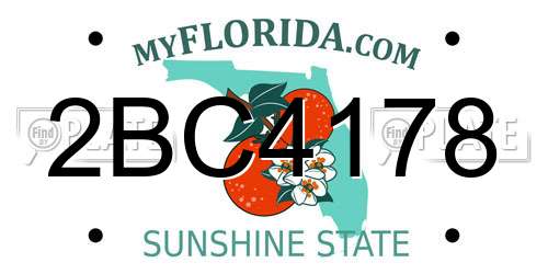 2BC4178 Florida License Plate