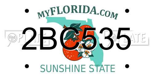 2BC535 Florida License Plate