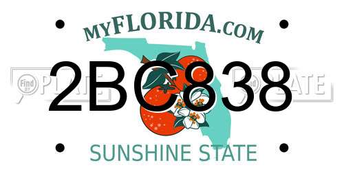 2BC838 Florida License Plate