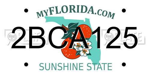 2BCA125 Florida License Plate