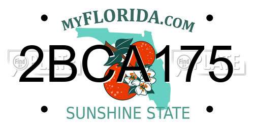 2BCA175 Florida License Plate