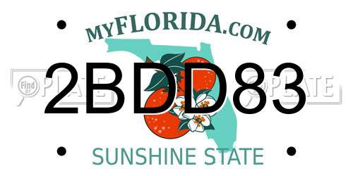 2BDD83 Florida License Plate