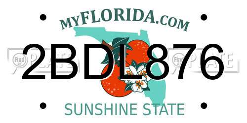 2BDL876 Florida License Plate