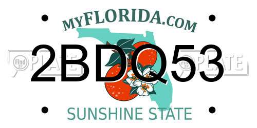 2BDQ53 Florida License Plate
