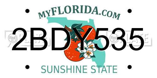 2BDY535 Florida License Plate