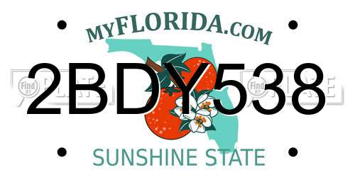 2BDY538 Florida License Plate