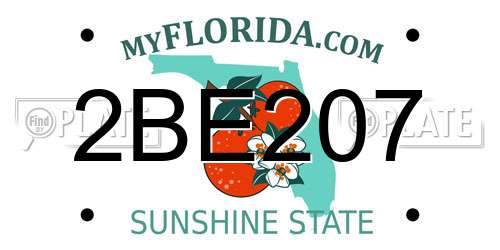 2BE207 Florida License Plate