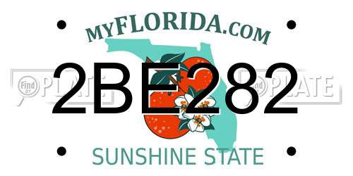 2BE282 Florida License Plate