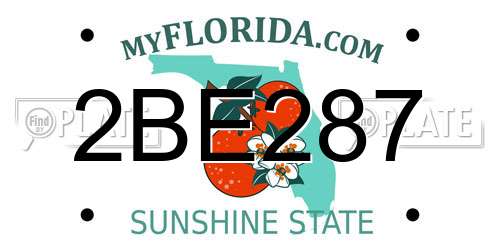 2BE287 Florida License Plate