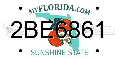 2BE6861 Florida License Plate
