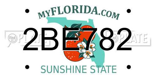 2BE782 Florida License Plate