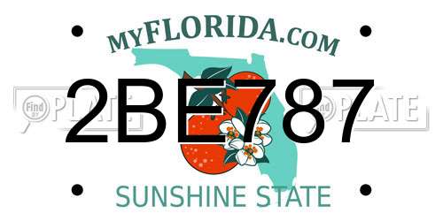 2BE787 Florida License Plate
