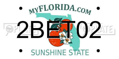 2BET02 Florida License Plate