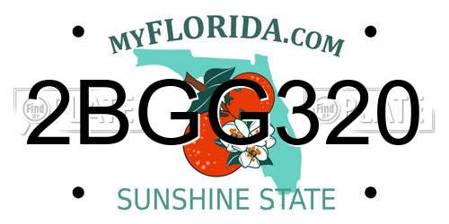 2BGG320 Florida License Plate