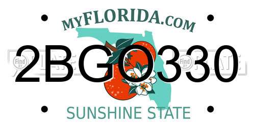 2BGO330 Florida License Plate