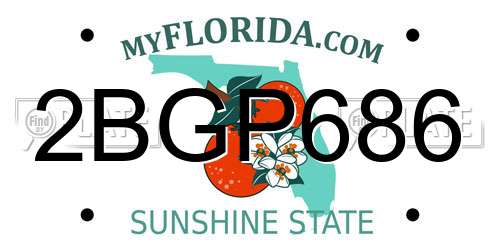 2BGP686 Florida License Plate