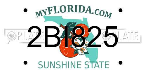 2BI825 Florida License Plate
