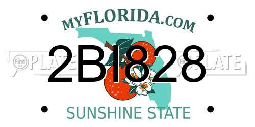 2BI828 Florida License Plate