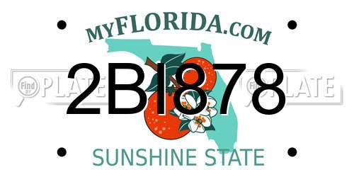 2BI878 Florida License Plate