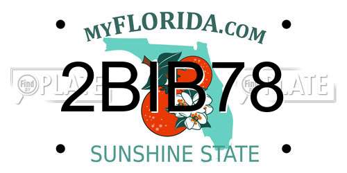 2BIB78 Florida License Plate