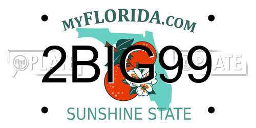 2BIG99 Florida License Plate
