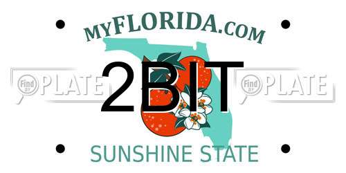 2BIT Florida License Plate