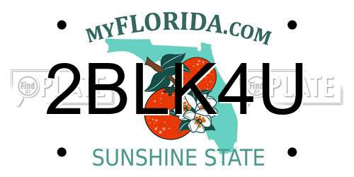 2BLK4U Florida License Plate