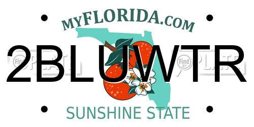 2BLUWTR Florida License Plate
