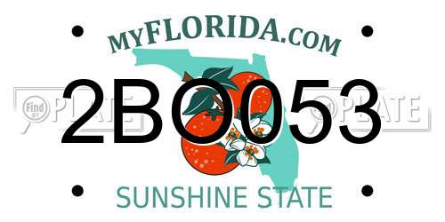 2BO053 Florida License Plate