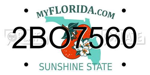2BO7560 Florida License Plate